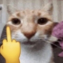 fk