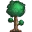 Terraria