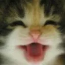 happy