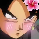BlackBlush