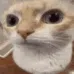 Vcarsideeye Vcarsideeye