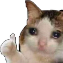 emoji_4 custom emote from warden craft