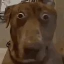 Uhhh_Gulp