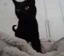 WOWOMG