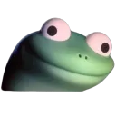 lizard lizard