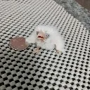 emoji_185