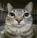 dwwdw dwwdw
