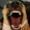 JJSF6