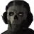 1049317895089438750