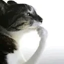 thinkssohard thinkssohard