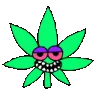 weed3
