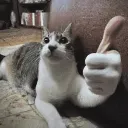 catthumbsup