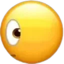 whattheflip
