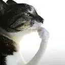 thinking