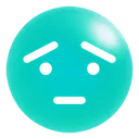 fs_concern
