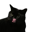 maowu