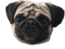 shitou