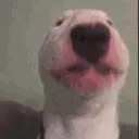 walter