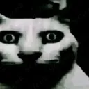 SeenTooMuchCat
