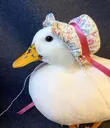cuteduck
