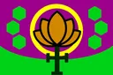 united_Gondia_flag