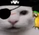 pirate