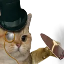:83900richcat: