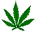 greenweed