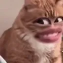 YEEEEEEE