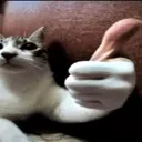yes