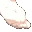 foot