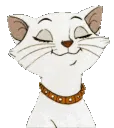 FS_Happy_Cat