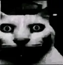 meow