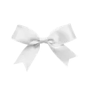 download__21_removebgpreview