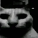 catuncanny