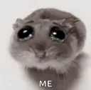 hamstertristememe