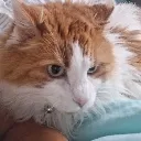 emoji_18 emoji_18