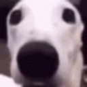 emoji_25 Discord Emoji | warden craft