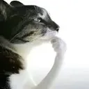 letmethink