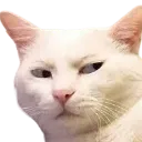 emoji_102 emoji_102