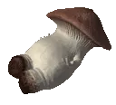 fungusdeath fungusdeath