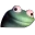lizard