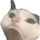 ailamgi