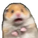 ScaredHamster