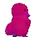 magentaducktwerk
