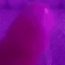 jerkcum