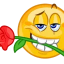 rizzorsum