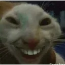 69bc6af268364369a8fb435074f74c45