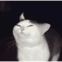 a633390ed26b40ab954704d494f54187