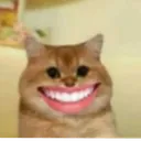 5a5be22c987849b2aeaf8590cee93711